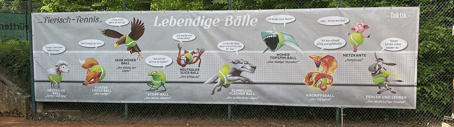 8-Meter-Banner Lebendige Bälle am Tennisplatz